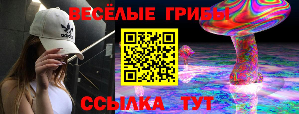 Галлюциногенные грибы Psilocybe  Псилоцибиновые грибы Magic Shrooms  Вход с VPN  Донской 